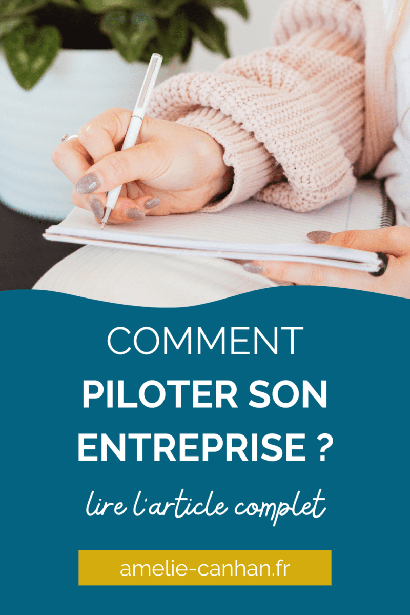 Comment Piloter Son Entreprise